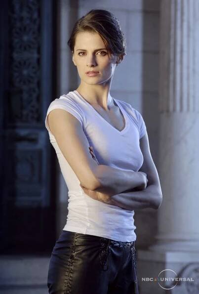 Stana Katic Style, Clothes, Outfits and Fashion • CelebMafia