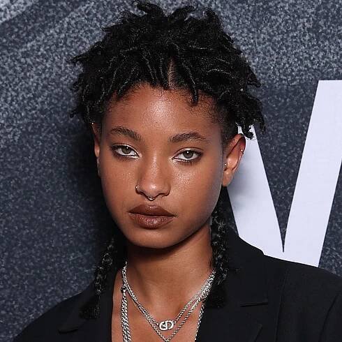 Willow Smith's Braids Are So Long, They Don't Even Fit in Her Latest Selfie — See Photos