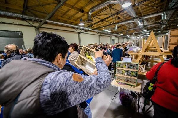 BURZA DROBNÉHO ZVÍŘECTVA A OKRASNÉHO PTACTVA - DUBEN
