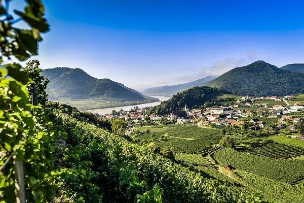 Impressionen - Spitz an der Donau