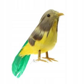 učební malí ptáci Realistické ptáci 5 Značka Evial