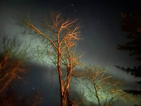 The Northern Lights Company (2025) - All You Need to Know BEFORE You Go (with Reviews)