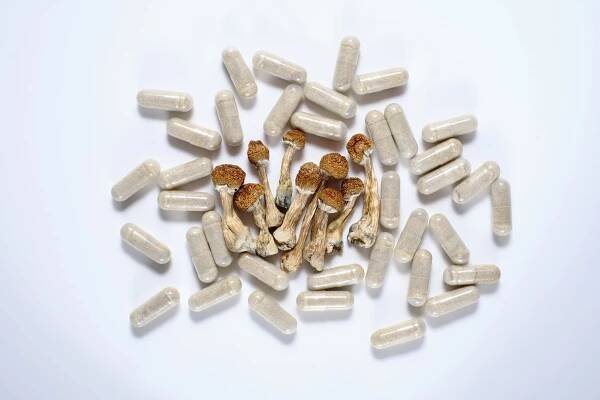 power of psilocybin microdosing