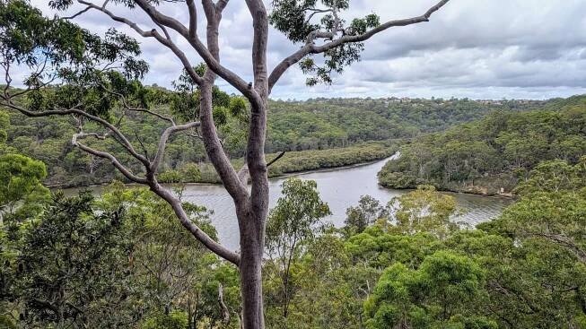 Ridge Track, Georges River National Park, Sydney - Hiking Scenery