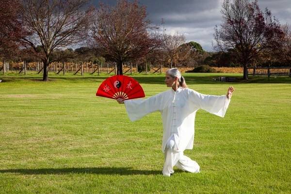 25-facts-about-tai-chi-fan