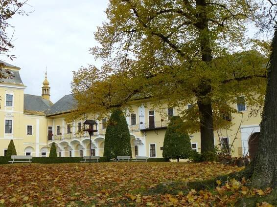 Zámek v Lysé nad Labem