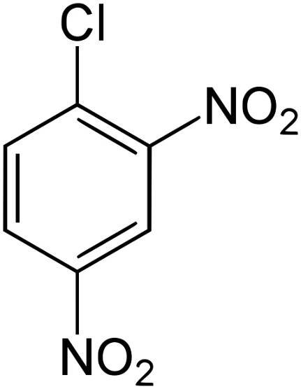 2,4-dinitrochlorbenzen