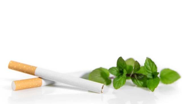 Oblíbené mentolové cigarety vstupují do éry tabákových alternativ