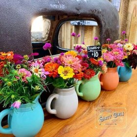 Cut Flower Special!
$10
Water pitcher included😧
Yesterday I cut flowers out in the rain with this idea in mind. I love my little hedge of flowers under the window on this old truck cashier...