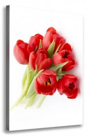 Wallmuralia Vertikální Foto obraz na plátně Červené tulipány