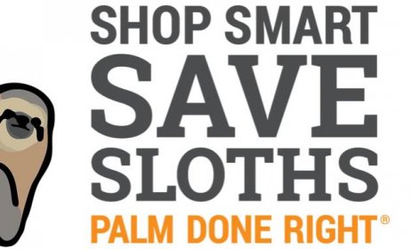 Shop Smart, Save Sloths