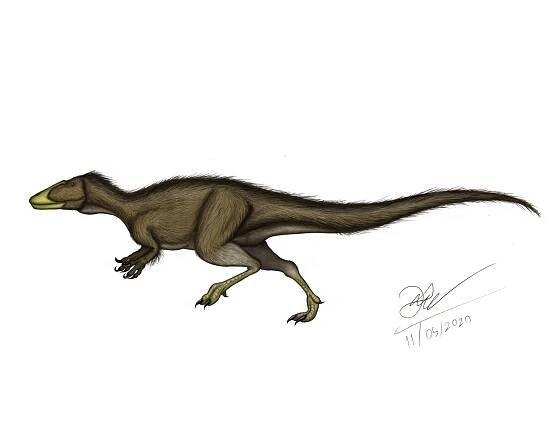 Palaeocast | Palaeontology podcasts