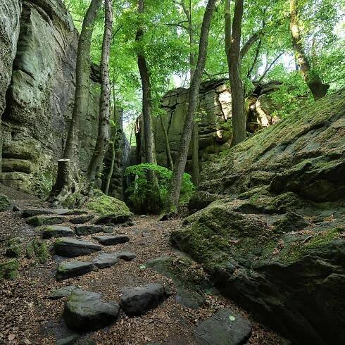 Hiking made easy: seven trails less than 7km