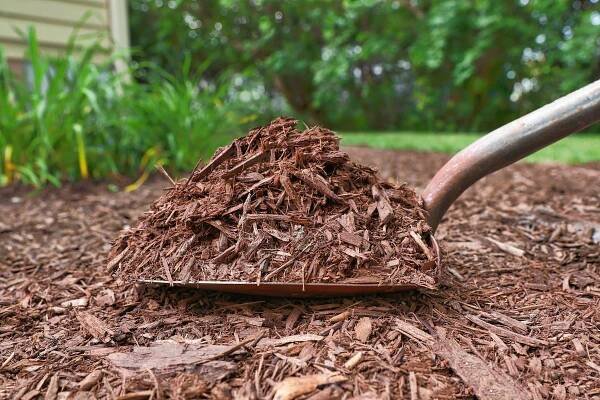 16 Types of Mulch for Landscaping and Gardening