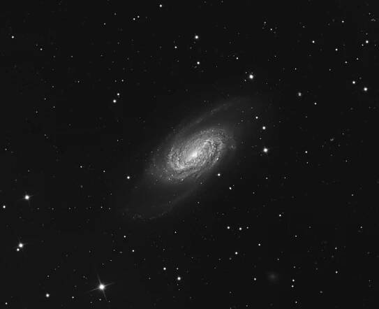 Bill Snyder Astrophotography: NGC2903 Galaxy
