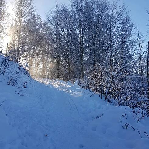Folle - Malá Prašivá (707 m) #3 - Vrcholovka.cz