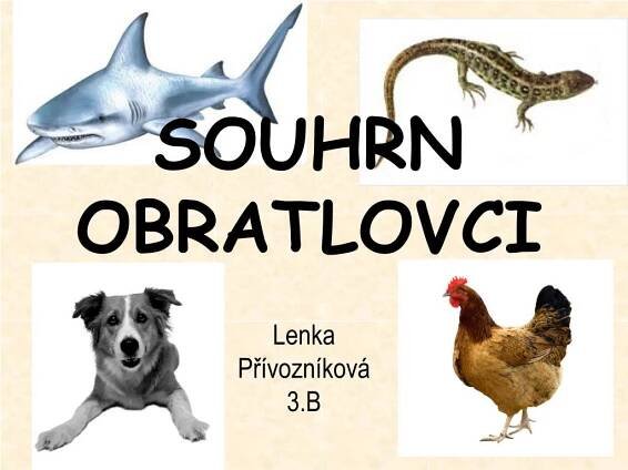 PPT - SOUHRN OBRATLOVCI PowerPoint Presentation, free download - ID:847306