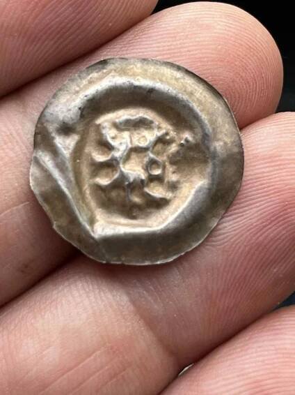 Morava, Václav II. brakteát, Cach 1001