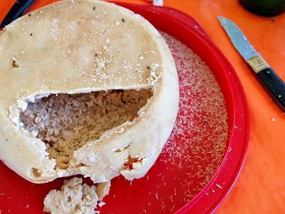 Casu marzu