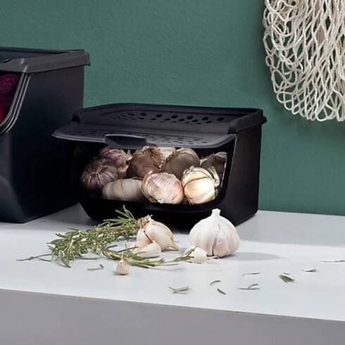 Česnek uložený v dóze Tupperware GarlicSmart s otevřeným víkem na kuchyňské ploše.