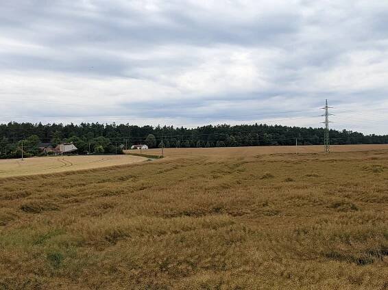 Soubor:Les Obora u Dvakačovic - celkový pohled od Bořic a Podboru, vlevo vpředu osada Podbor.jpg – Wikipedie