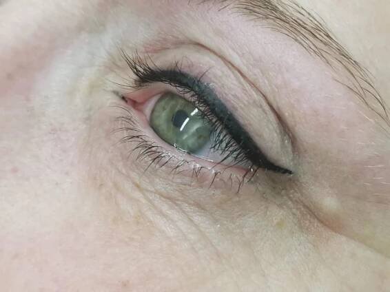 permanentni makeup
