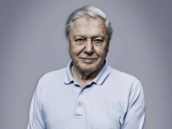 Sir David Attenborough: 'This awful summer? We've only ourselves to blame...'