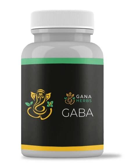 GABA - 60 kapslí 500mg