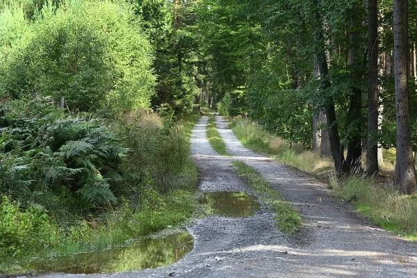 Ekologická katastrofa, nebo přírodní úkaz? Zatopené lomy na Plzeňsku budí vášně
