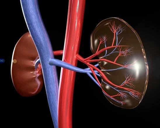 Inhibitory ACE a renální insuficience: Co přináší dvojí ces...