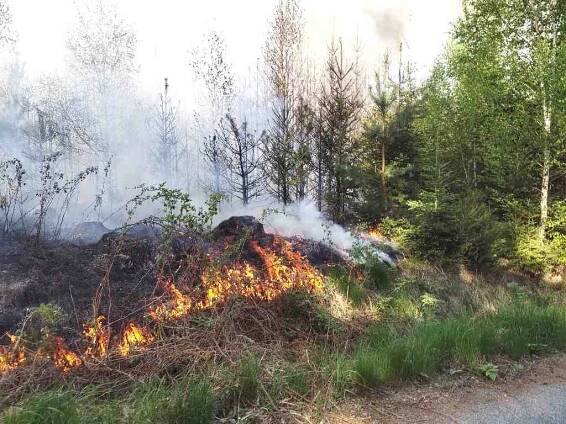 Hektická sobota pro hasiče: nedaleko Újezdu u Rosic likvidovali požár lesa