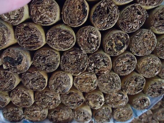 Doutníky Don Patico Churchill Habano 50x7 