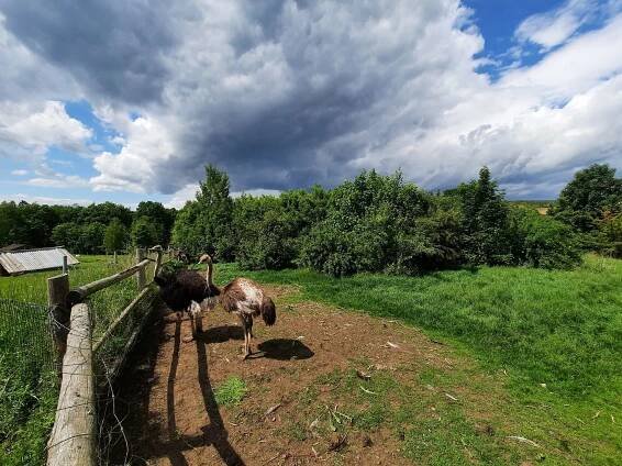 Zámecký statek Újezd nade Mží | Cloud