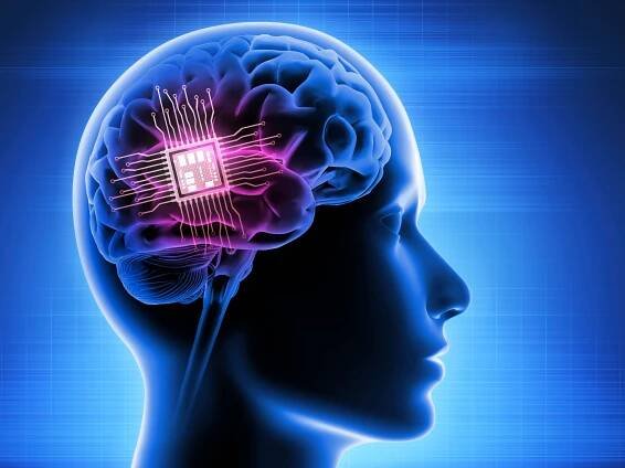 Can You Invest in Neuralink?