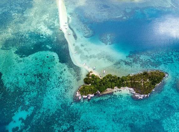 Ilha da Queimada Grande: Na ostrově žijí hadi, jejichž jed vás do hodiny zabije - Pravda24
