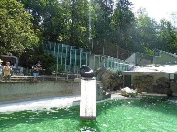ZŠ a MŠ Brodce | ZOO Liberec - MŠ - 11.6.2019