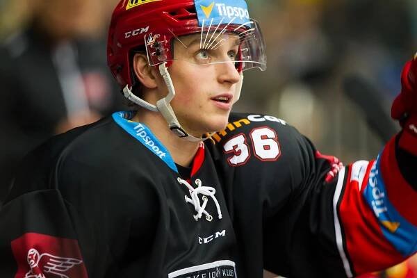 Mountfield HK, a.s. | Fotogalerie | Hráč | Lukáš Vopelka