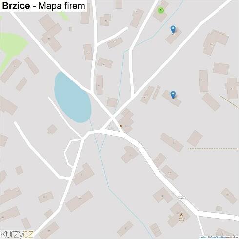 Brzice - mapy | Kurzy.cz