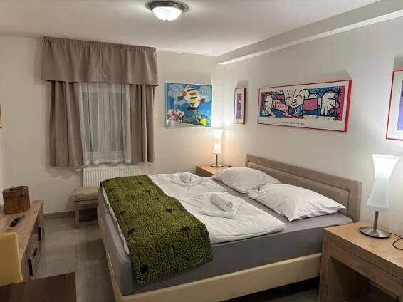 Postel nebo postele na pokoji v ubytování Apartments Gato Karlovy Vary Jenišov