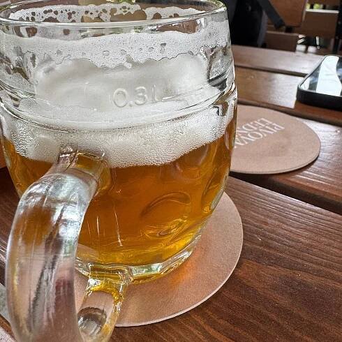 PIVOVAR LEDNICE - Menu, Prices & Restaurant Reviews - Tripadvisor