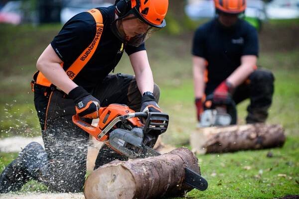 Chainsaw and related operations - Reaseheath Business Hub