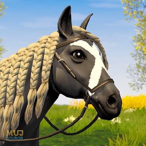 Star Equestrian - Horse Ranch (mobilní) - stahnu.cz