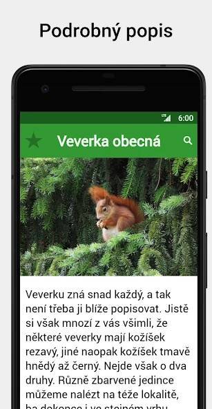 Snímek obrazovky