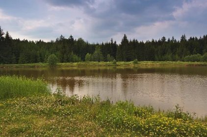 Soubor:Horní rybník u obce Suchý, Velenov, okres Blansko (05).jpg – Wikipedie