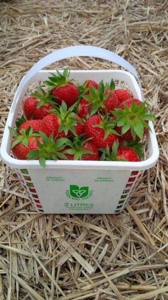 My 3-Minute Basket