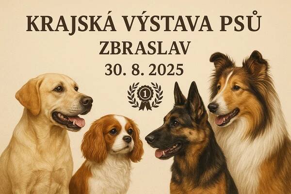 8. Zbraslavská krajská výstava psů a Krajská klubová výstava, 30.08.2025 - Moravskoslezský kynologický svaz