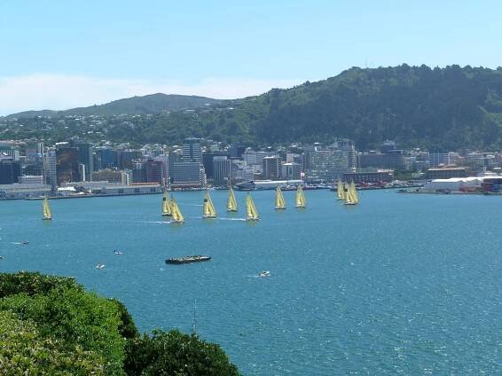 Wellington