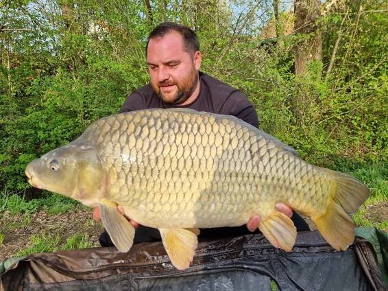 Galerie | Nebelteich | Unsere schönsten Fische