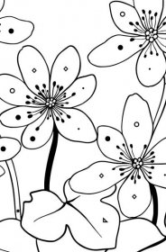 Omalovánka roztomilé květiny (složitě) - Omalovánka podle Symbolů a Geometrickým Tvarům pro děti