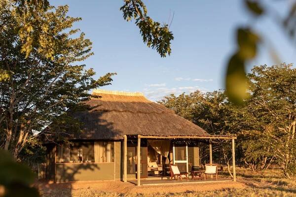 Wild Expeditions - Camp Hwange & Muddy Teak
